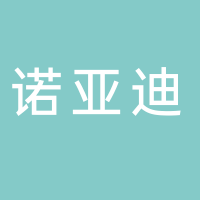 诺亚迪集团有限公司